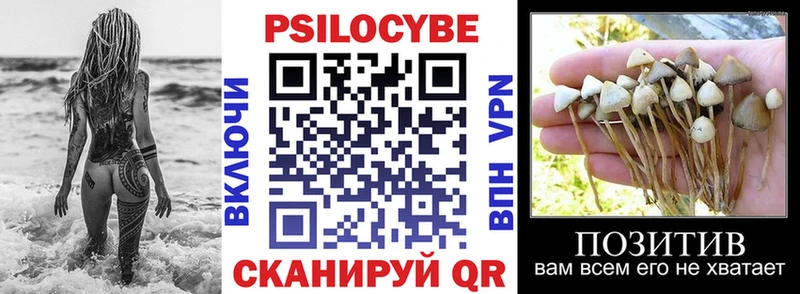 Галлюциногенные грибы ЛСД  закладка  Ак-Довурак 